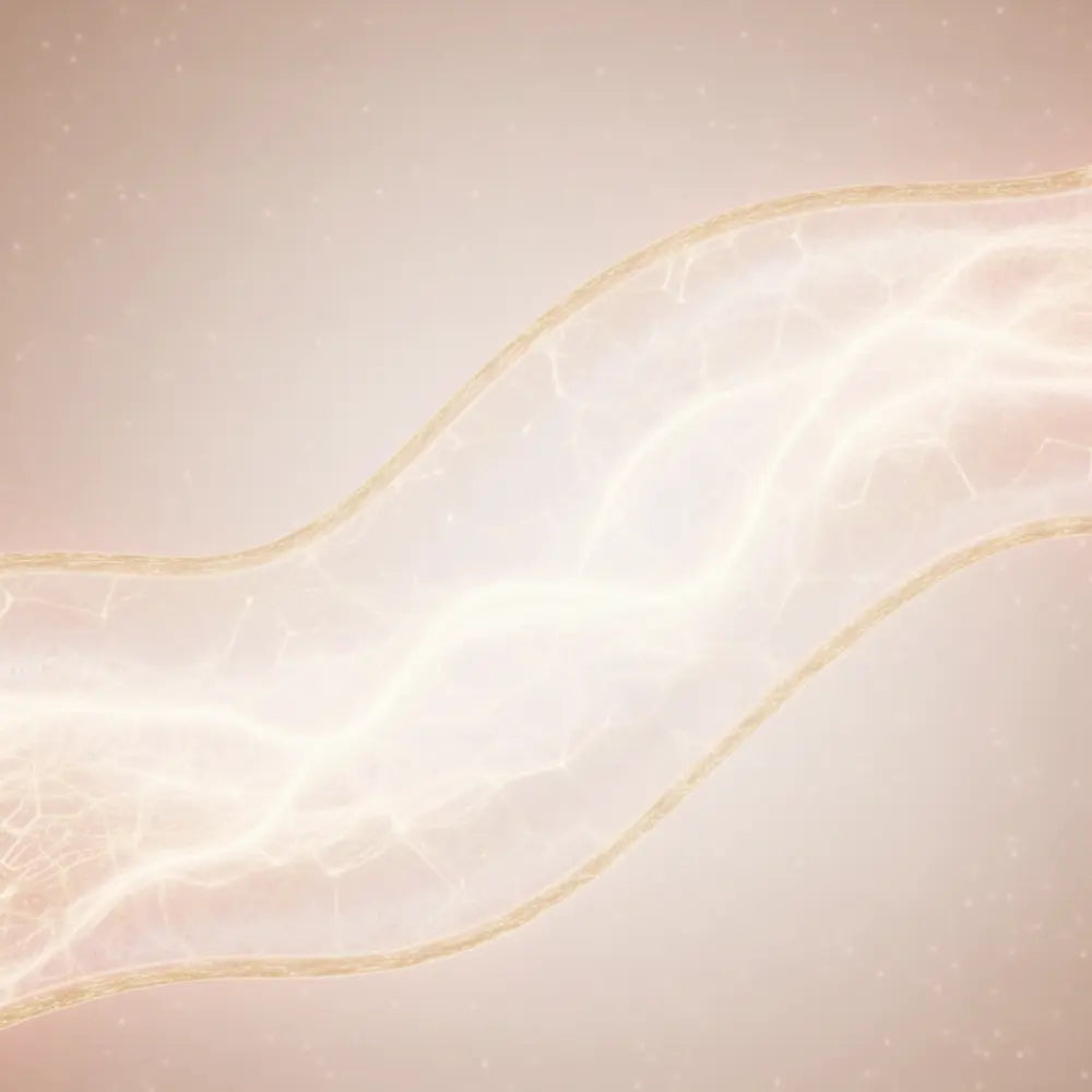 Bioaē R-Like Complex Holiaē – technologie rétinol-like botanique pour lisser la peau sans irritation