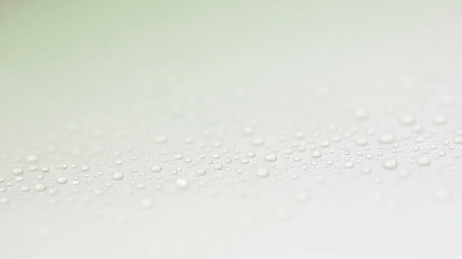 Camomille bio et glycérine du nettoyant Holiaē – apaisement immédiat des peaux sensibles