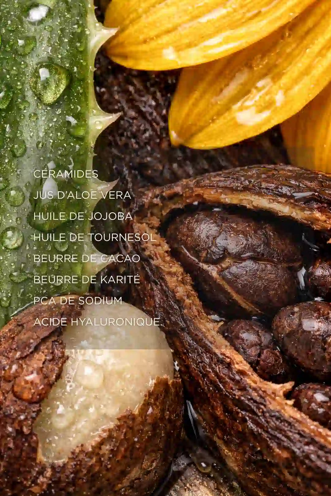 Ingrédients naturels nourrissants pour crème de nuit aux céramides, soin visage hydratation intense