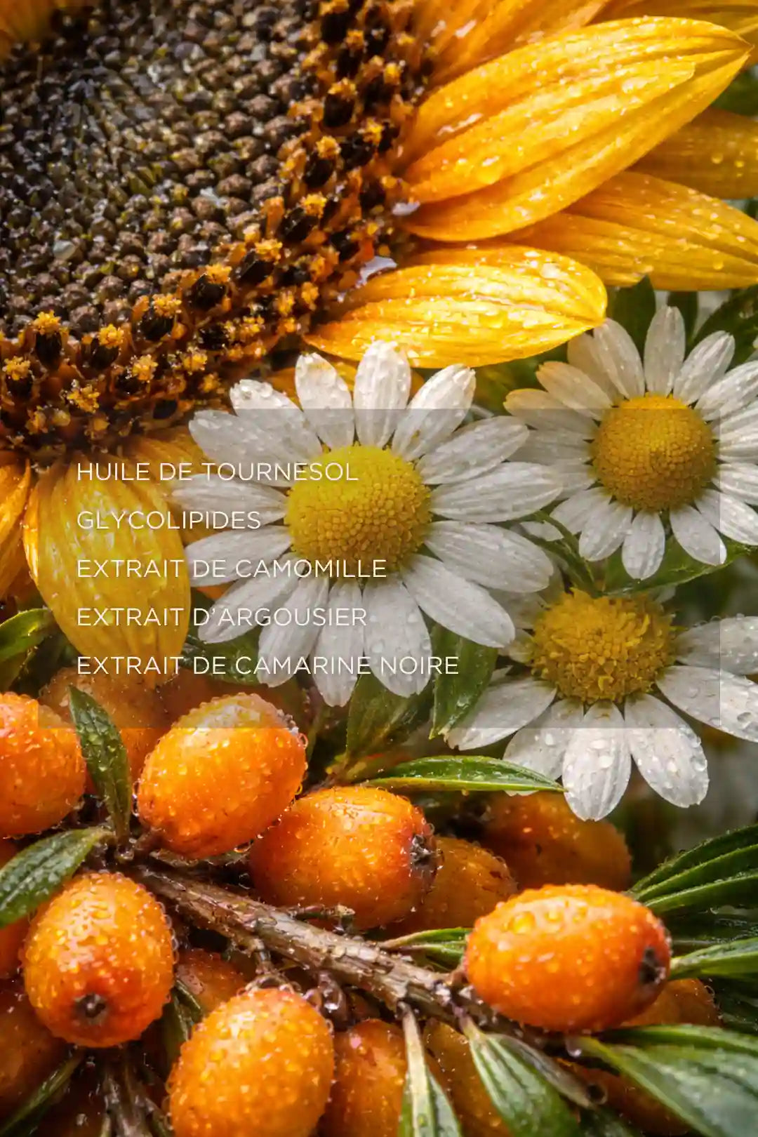 Gel nettoyant visage peaux sensibles aux extraits de camomille argousier et huile de tournesol