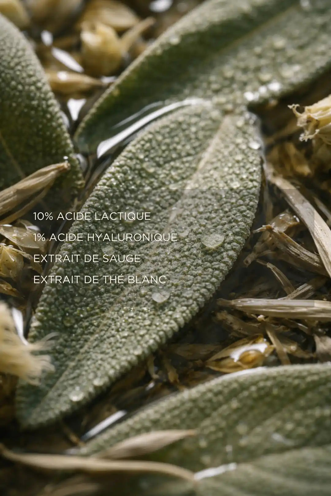 Peeling AHA aux acides lactique et hyaluronique avec extraits de sauge et thé blanc