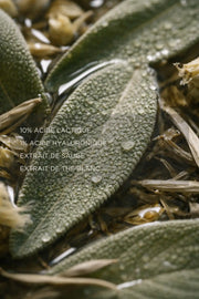 Peeling AHA aux acides lactique et hyaluronique avec extraits de sauge et thé blanc