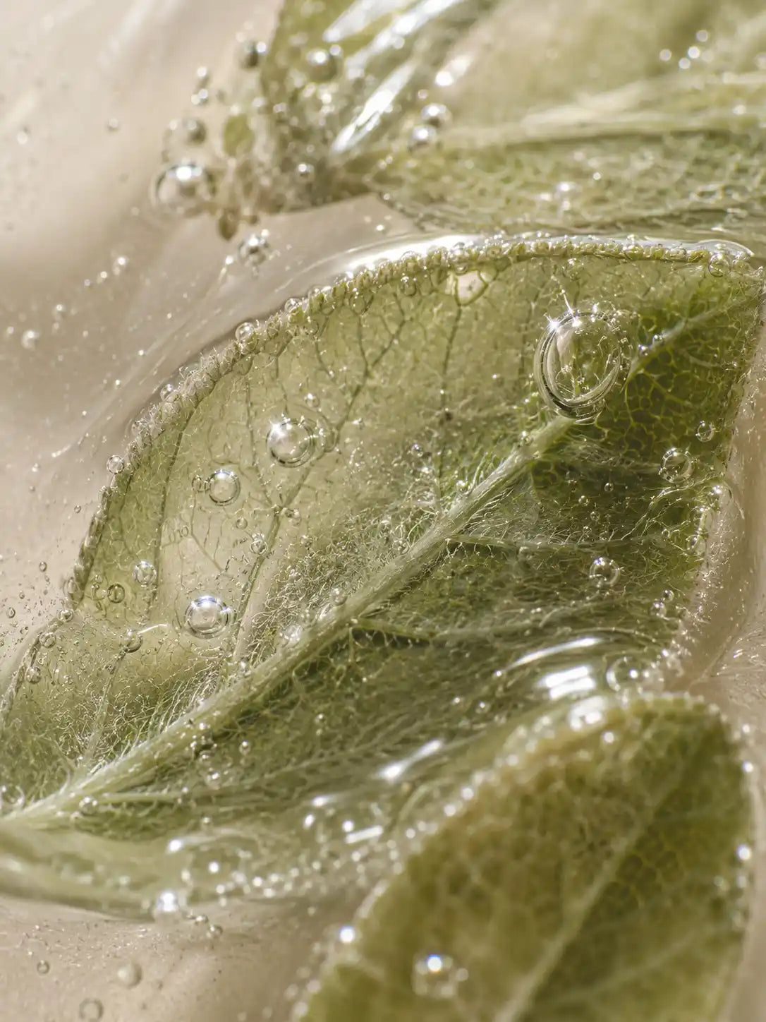Peeling Visage AHA 10% à l’Acide Lactique HOLIAĒ – mise en scène des ingrédients
