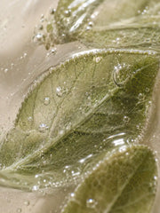Peeling Visage AHA 10% à l’Acide Lactique HOLIAĒ – mise en scène des ingrédients