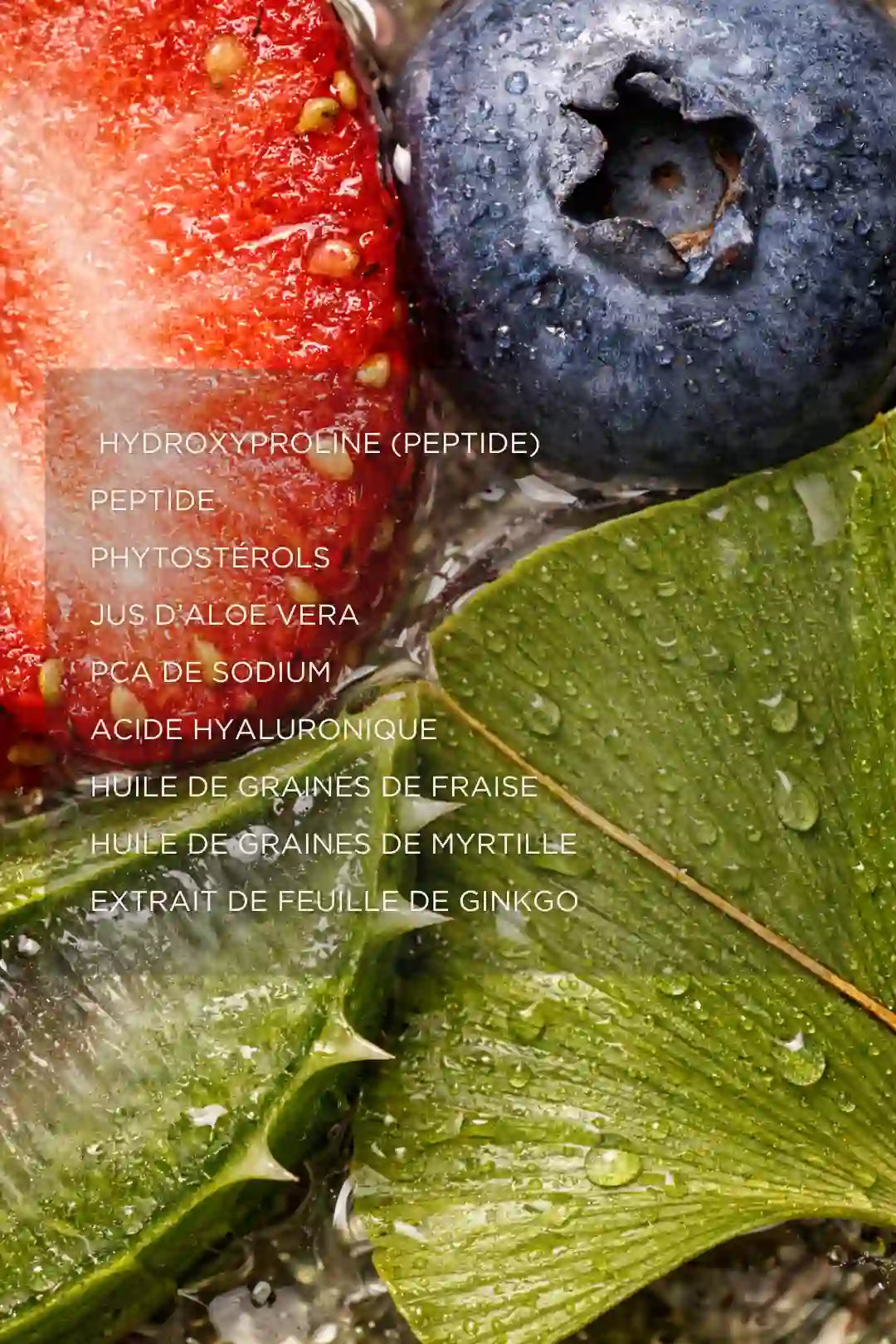 Sérum peptides anti-âge avec extraits de fraise myrtille et ginkgo pour la peau